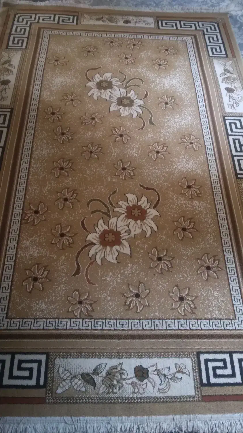 گلیم آشپزخانه سالم|فرش|ارومیه, |دیوار