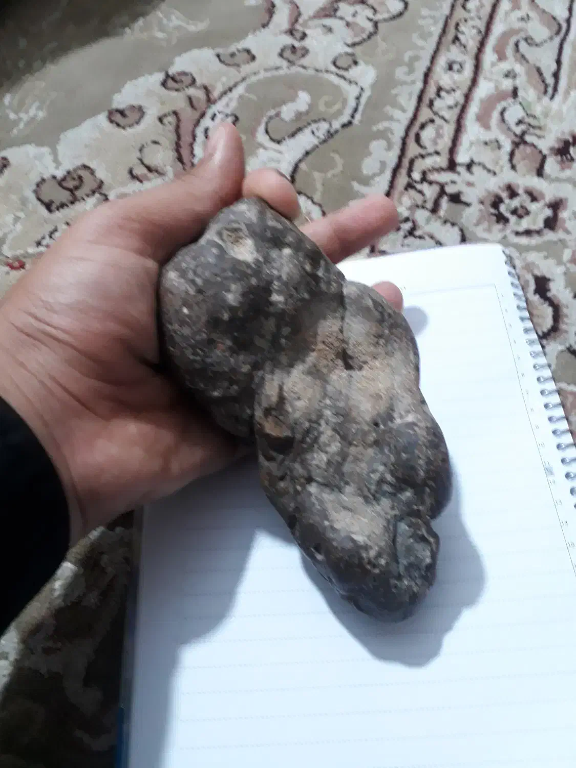 شهاب سنگ سنگی|کلکسیون اشیاء عتیقه|زابل, |دیوار