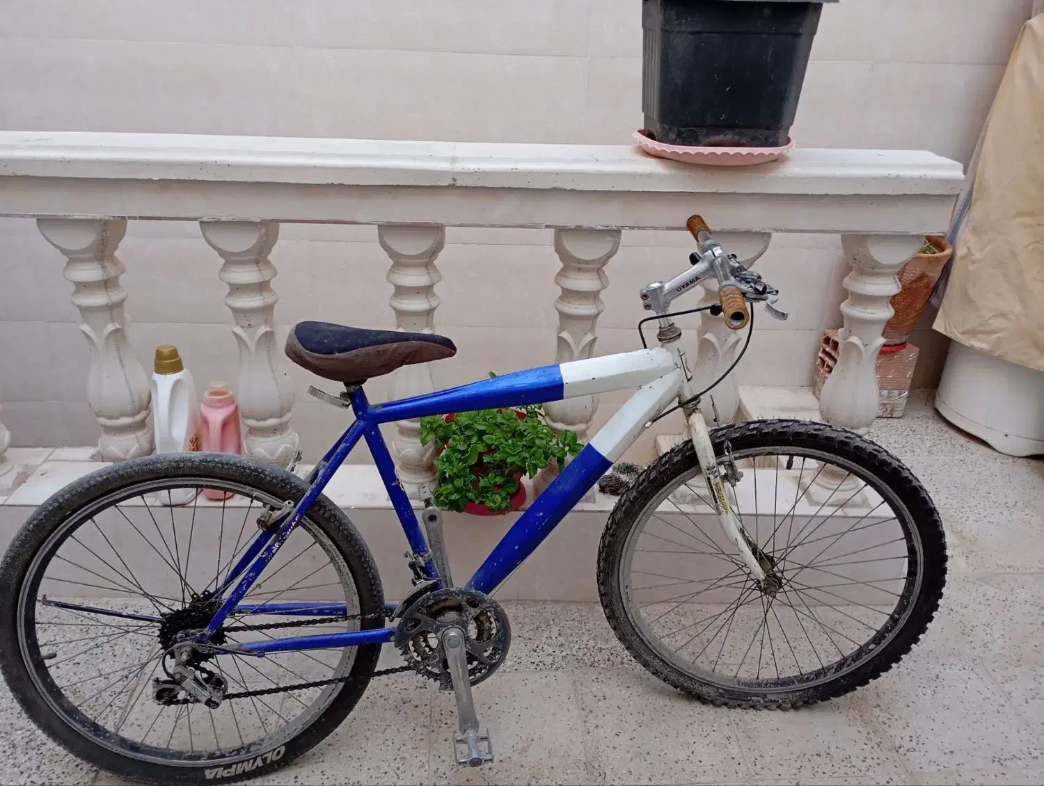 دوچرخه 26 بدنه آهن|دوچرخه، اسکیت، اسکوتر|پیشوا, |دیوار