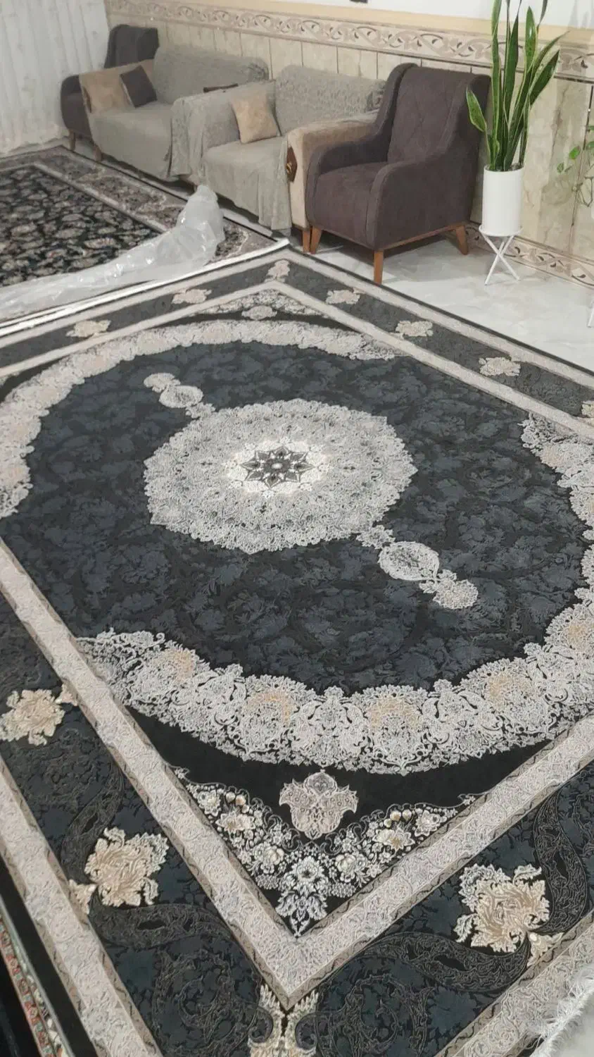 فرش نو|فرش|زابل, |دیوار