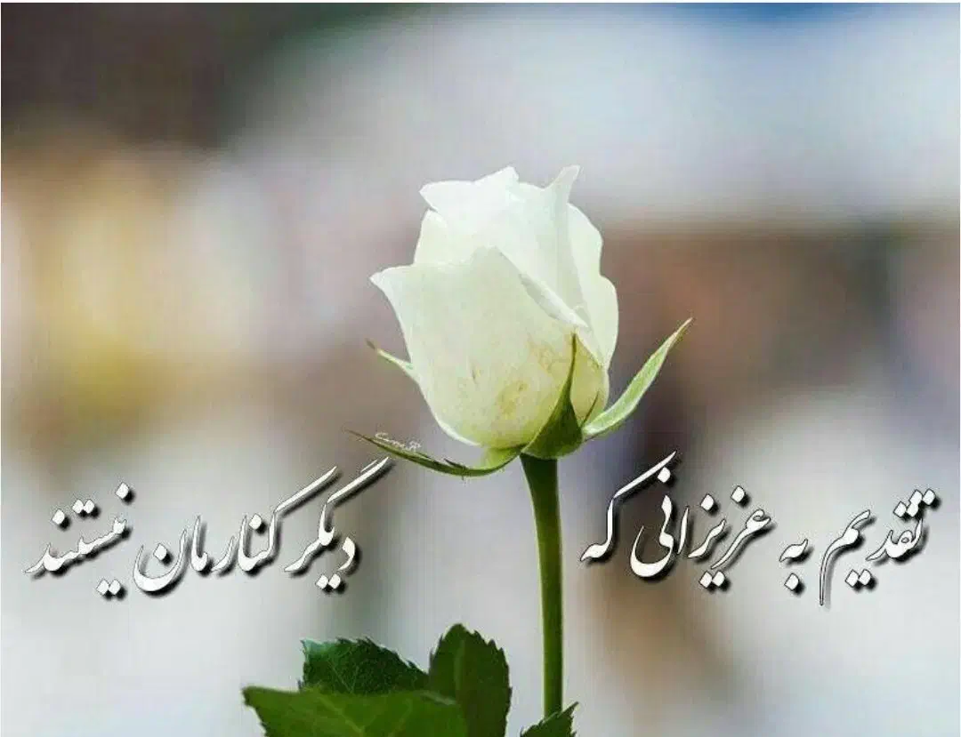 ختم قرآن|خدمات پذیرایی، مراسم|سمنان, |دیوار