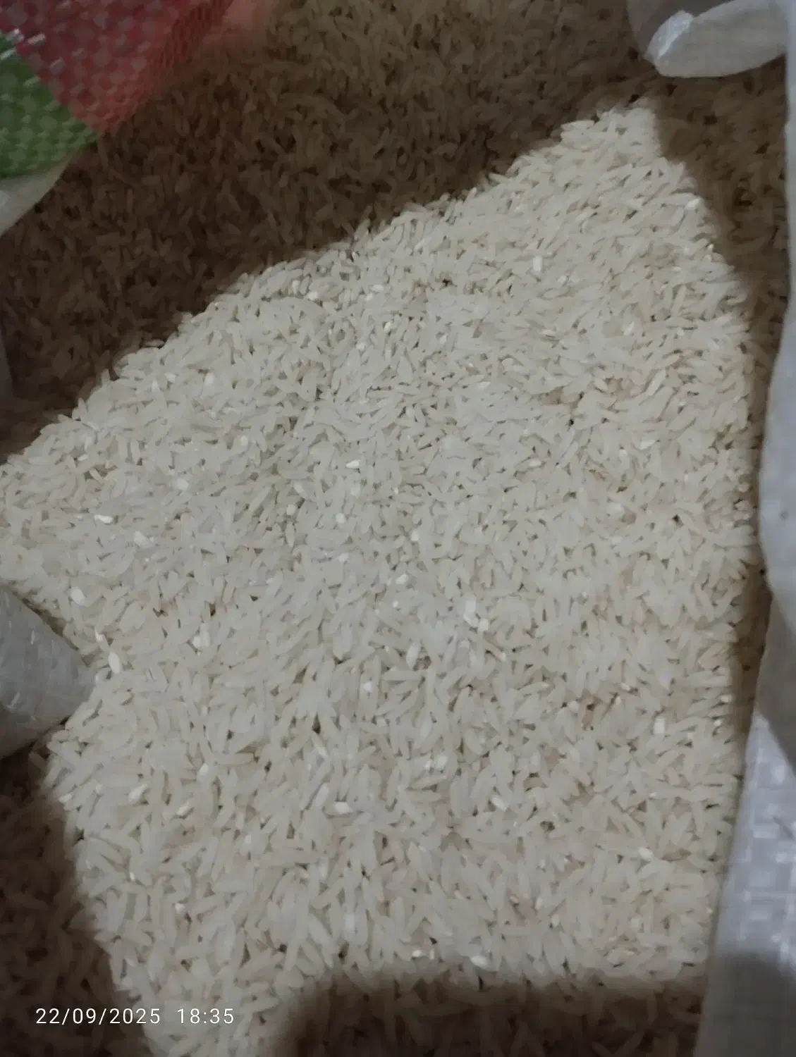 برنج کشت دوم دابودشت کیلویی ۳۰۰|خوردنی و آشامیدنی|دابودشت, |دیوار