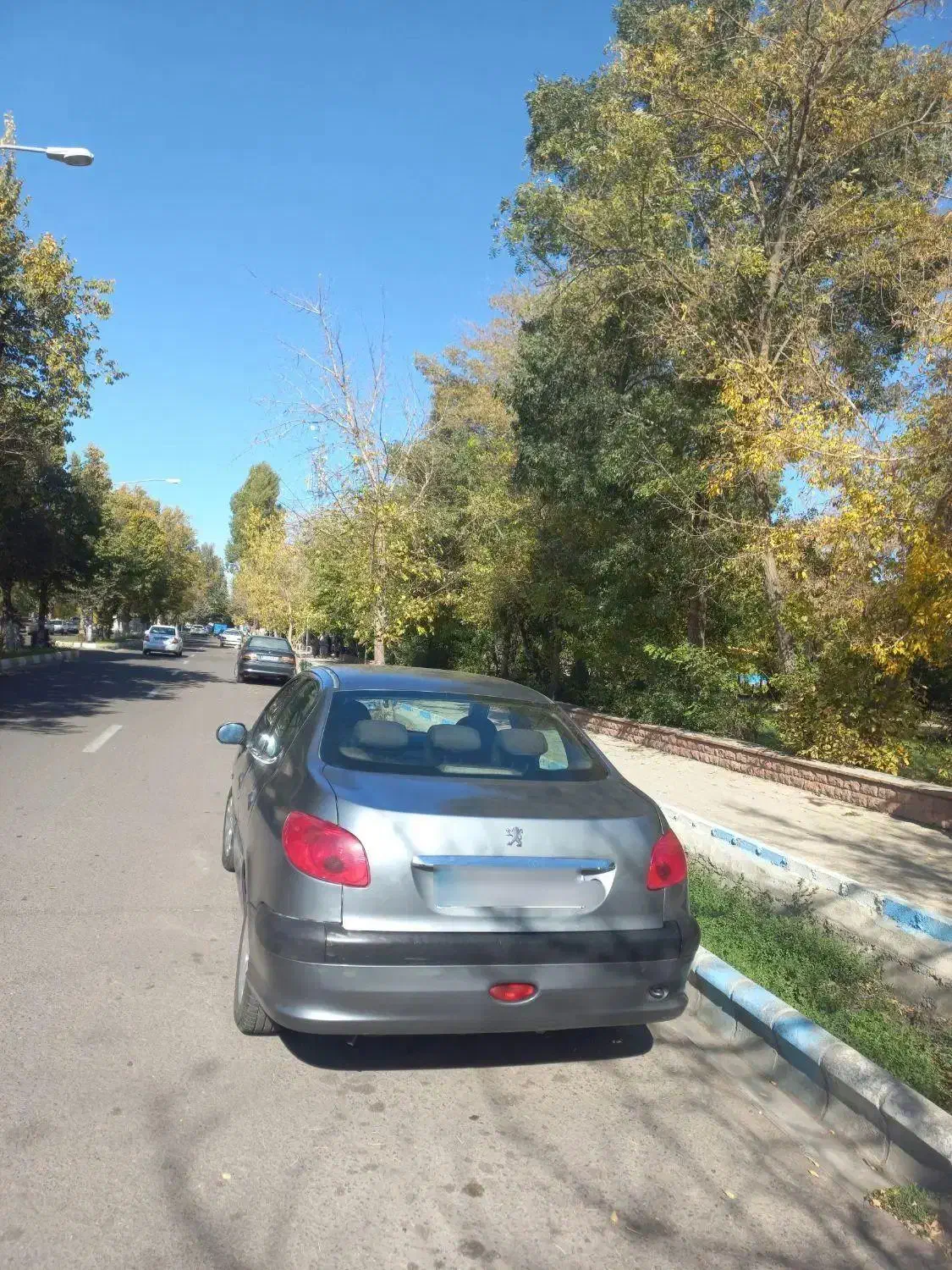 پژو206 sd مدل1386|خودرو سواری و وانت|سراب, |دیوار