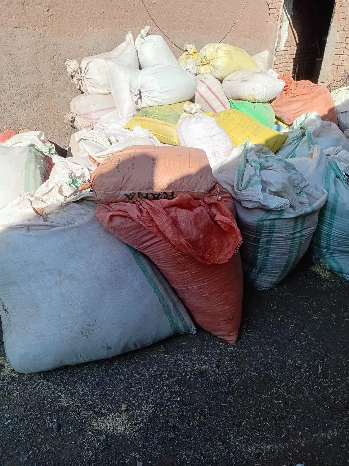 اذوغ گوسفند|عمده‌فروشی|شامکان, |دیوار