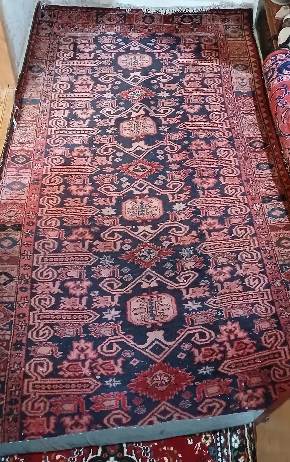 قالی|فرش|اردبیل, |دیوار