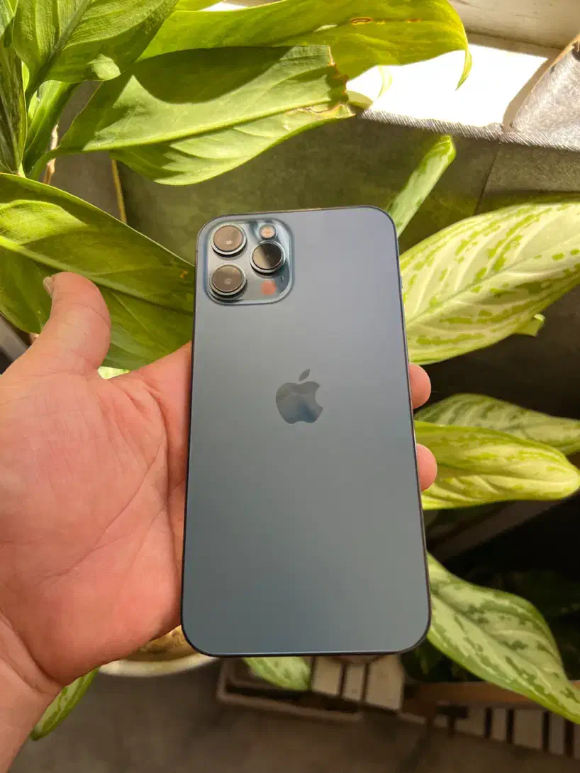 ایفون ۱۲ پرو مکس Z/AA دو سیم|موبایل|شیراز, شهرک گلستان|دیوار