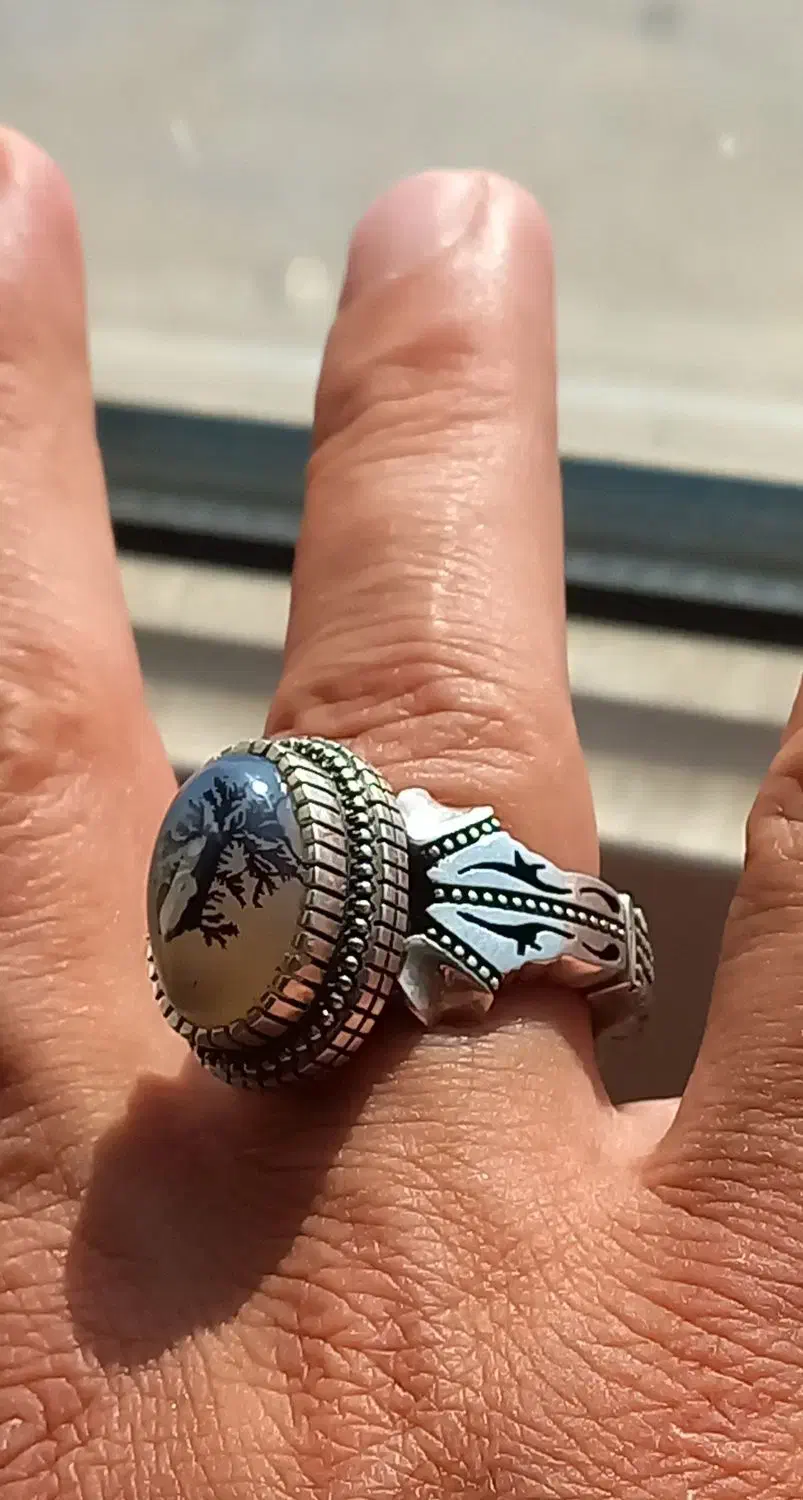 شجر تک درخت قائن|بدلیجات|کرمانشاه, |دیوار