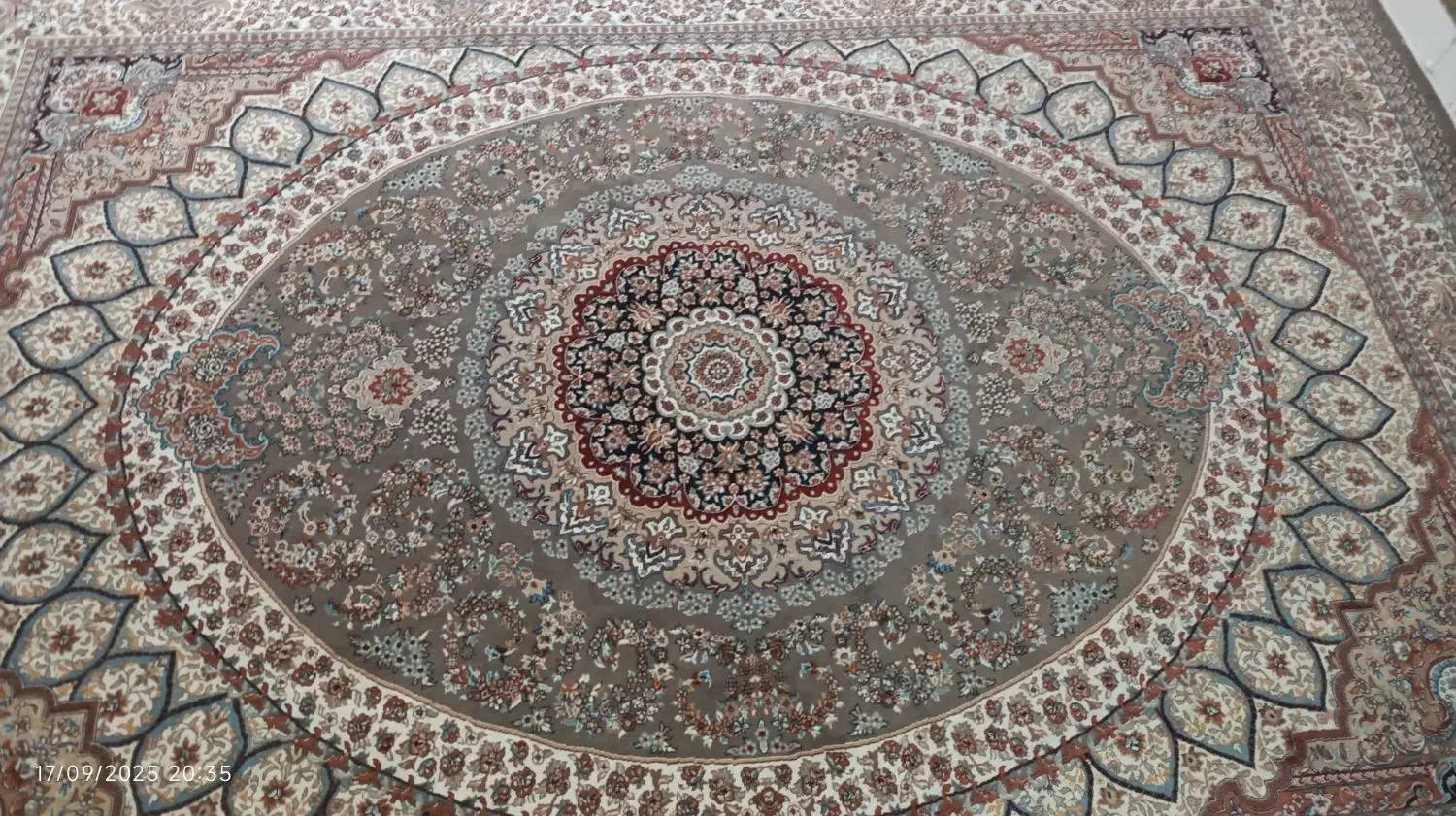 فروشِ فرش|فرش|ساوه, |دیوار