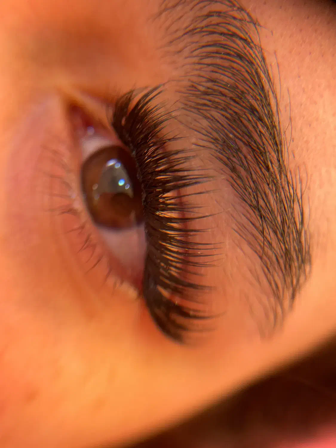 مژه|خدمات آرایشگری و زیبایی|رشت, رودباری|دیوار