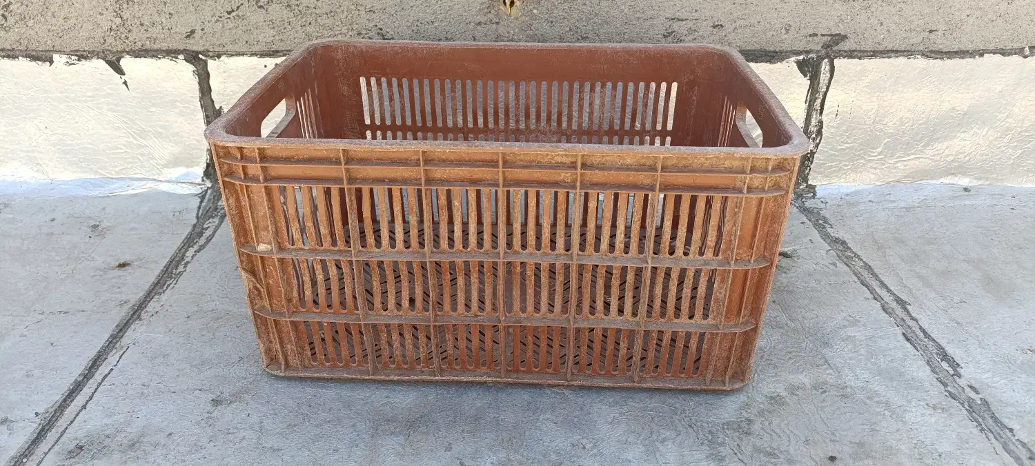 سبدهای 25کیلویی|ظروف نگهدارنده، پلاستیکی، یکبارمصرف|اسفرورین, |دیوار