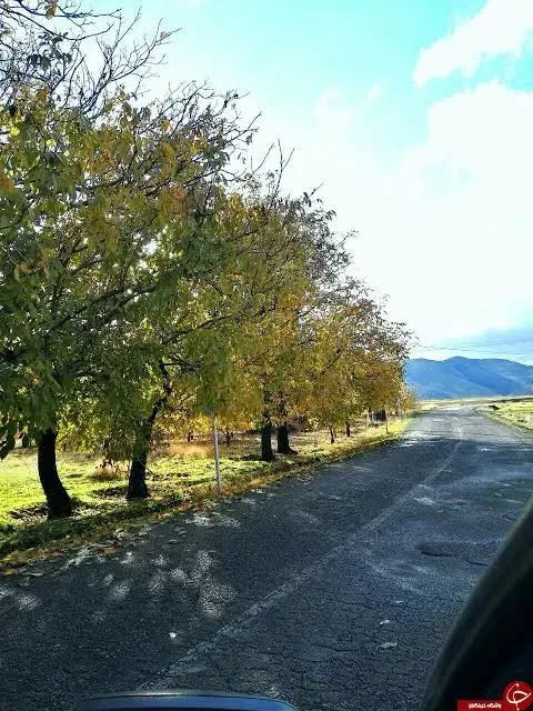 ۶ جریب آبی|فروش دفتر صنعتی، کشاورزی، تجاری|کنگاور, |دیوار