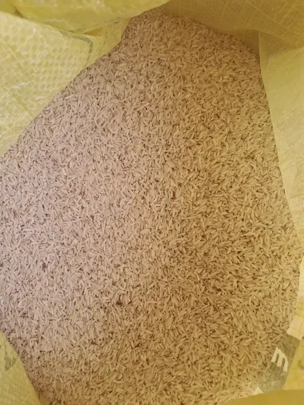 برنج شیروان خوش بو وخوش عطر تازه خرمن کوب شده|خوردنی و آشامیدنی|دره شهر, |دیوار