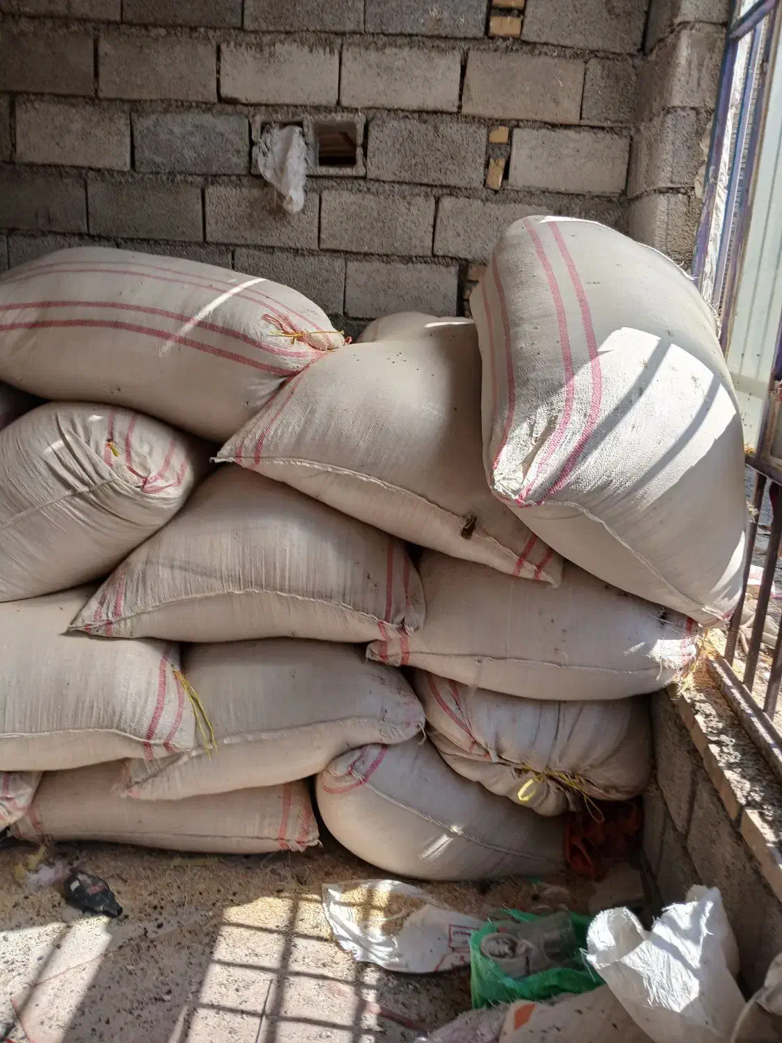 کاه گندم دیم خوزستان|لوازم جانبی حیوانات|اندیمشک, |دیوار