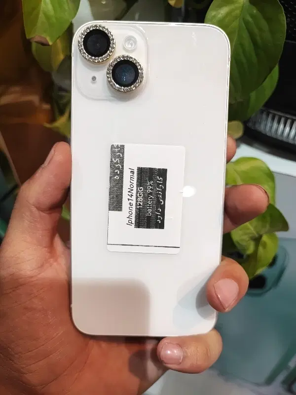 iphone 14 normal|موبایل|مشهد, خواجه ربیع|دیوار