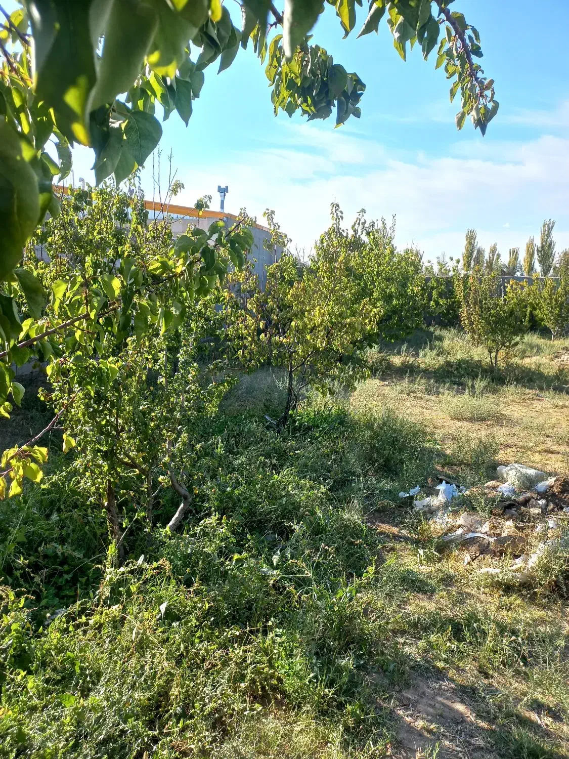 باغ واقع در دهکده توریستی امند|فروش خانه و ویلا|صوفیان, |دیوار