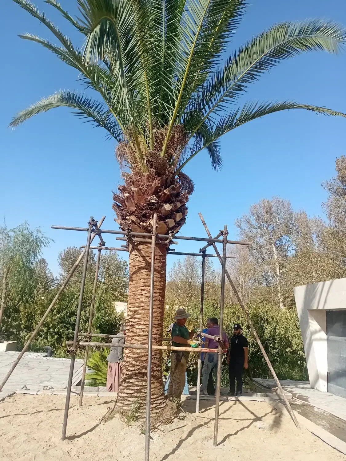 داربست فلزی در باغستان|خدمات پیشه و مهارت|باغستان, |دیوار