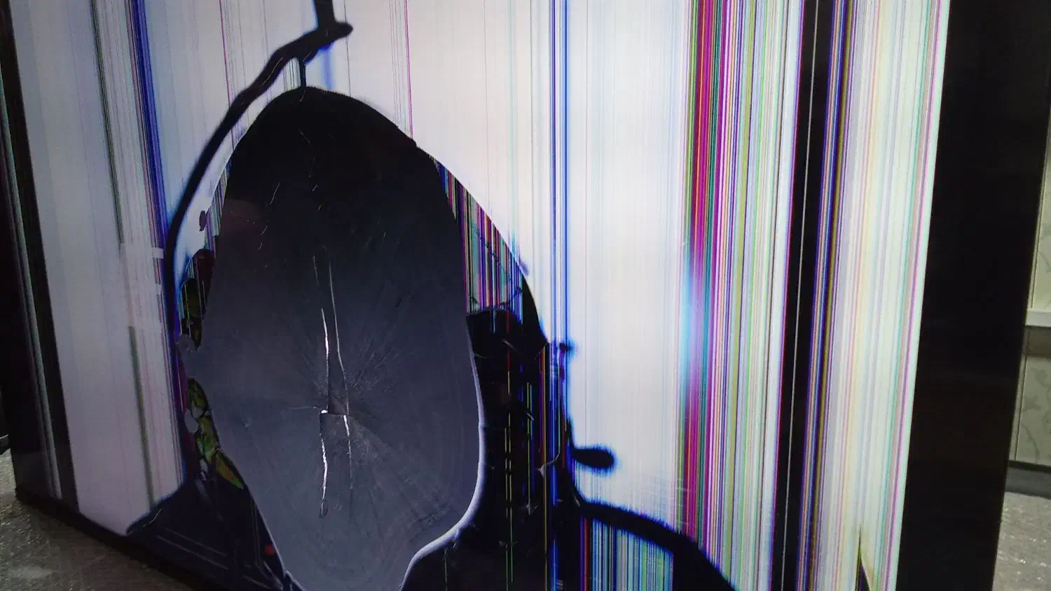 تلویزیون|تلویزیون و پروژکتور|صومعه‌سرا, |دیوار