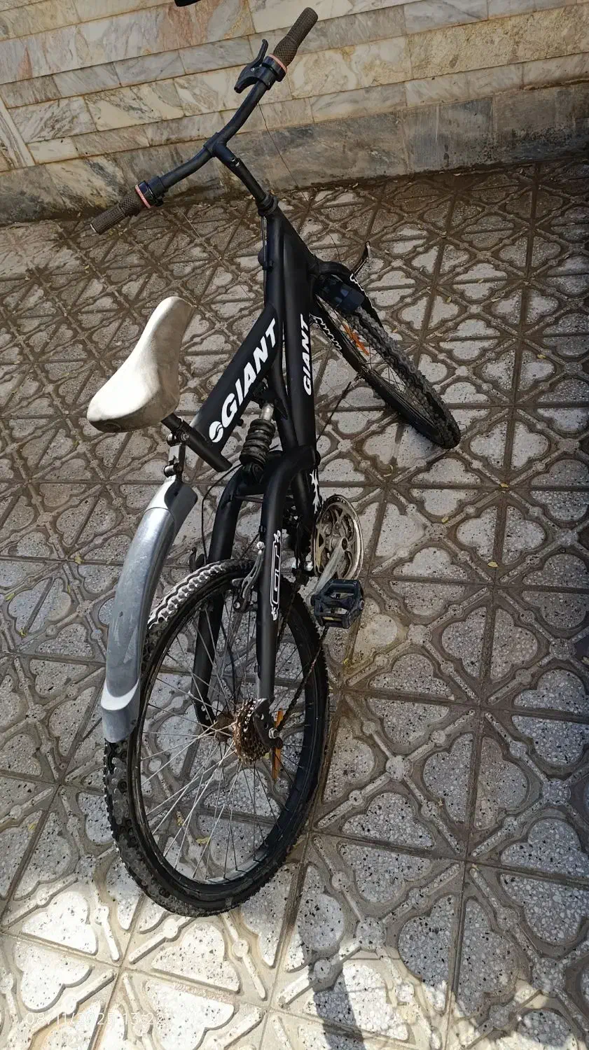 دوچرخه ۲۴|دوچرخه، اسکیت، اسکوتر|بیرجند, |دیوار