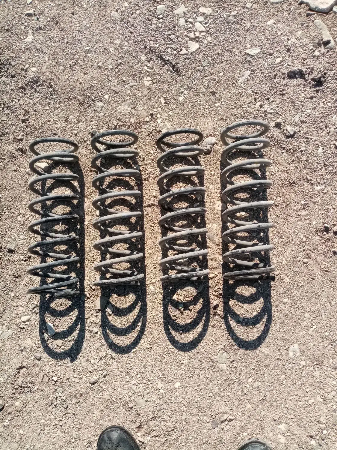 تیبا وکیک|فروشگاه و مغازه|بومهن, |دیوار