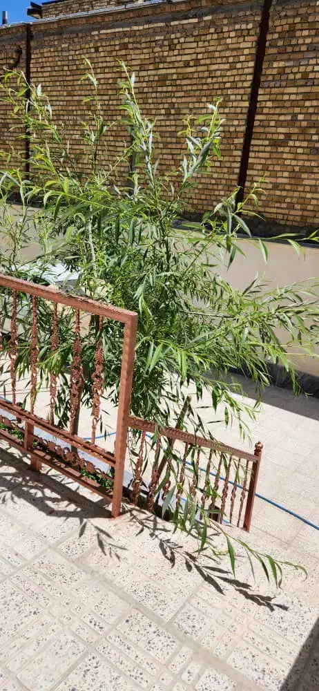 ویلایی دوبلکس ۲۶۰ متری در گلدشت|فروش خانه و ویلا|بروجرد, |دیوار