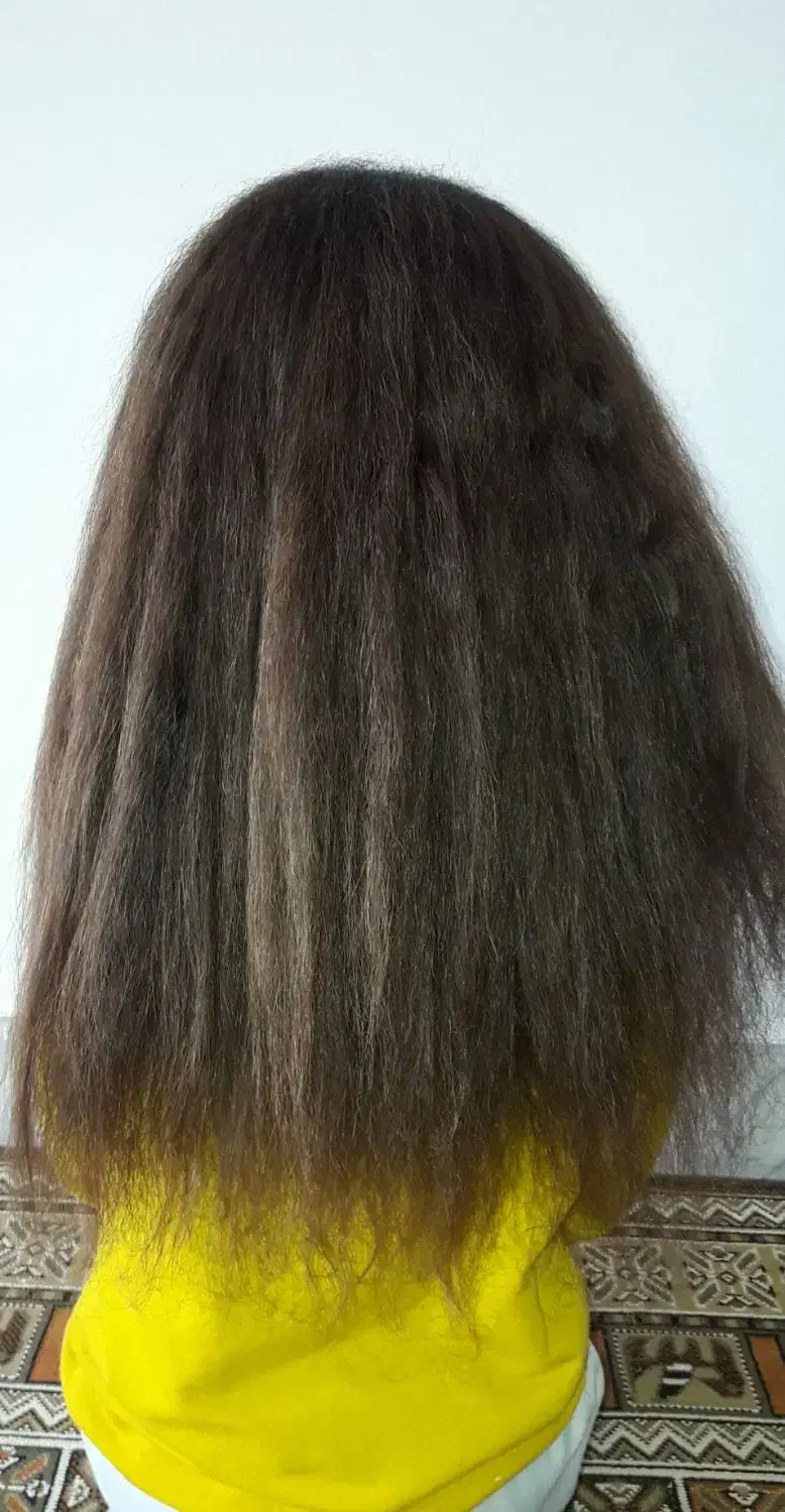 موطلایی پر پشت|آرایشی، بهداشتی، درمانی|ایلام, |دیوار