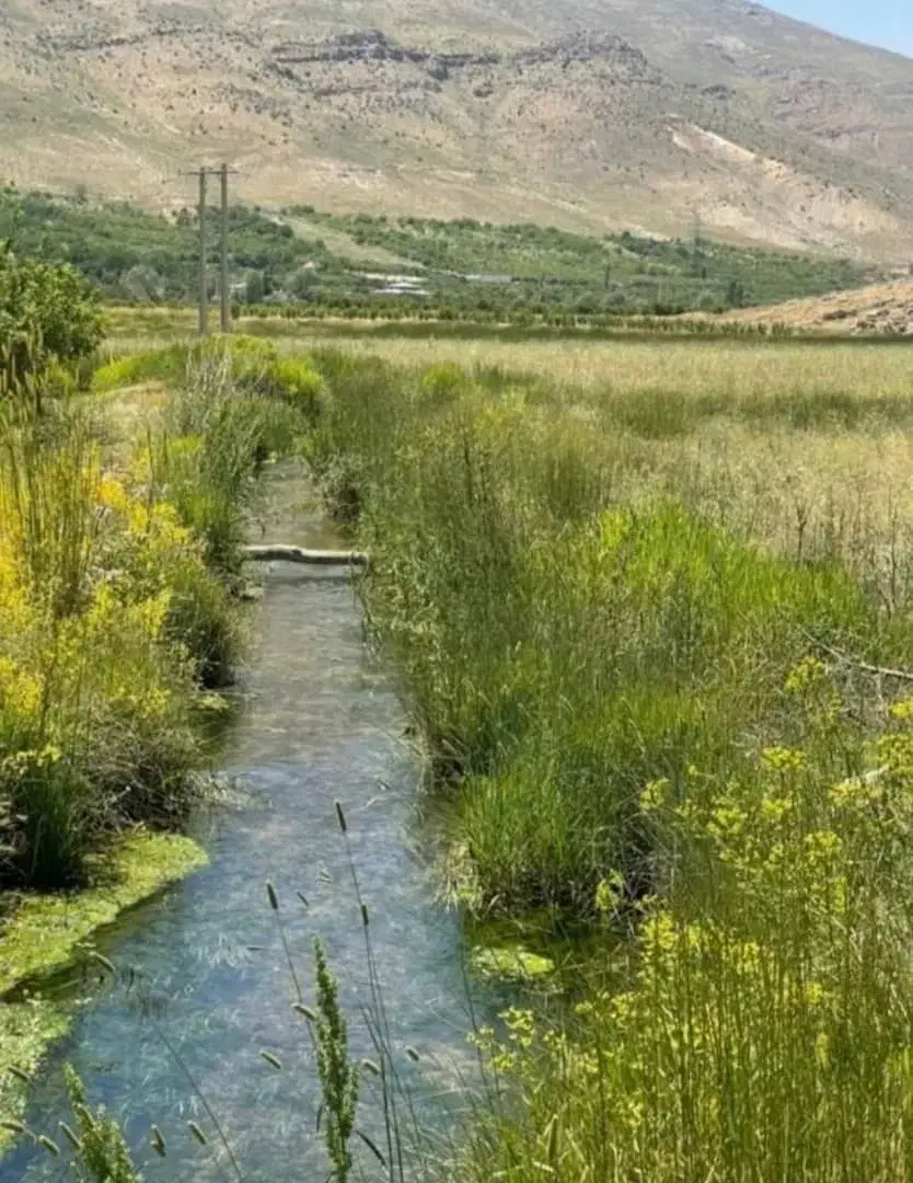 زمین ویلا باغی لوکس در بهش ایران|فروش زمین و ملک کلنگی|شیراز, سینما سعدی|دیوار