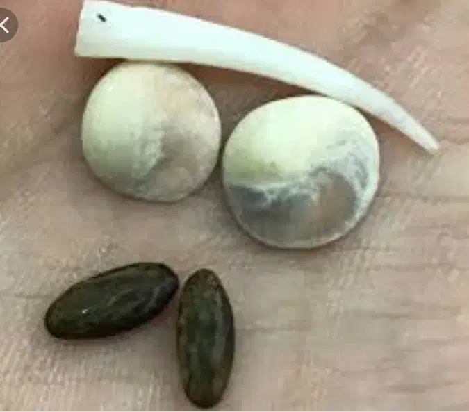 مهره ما|جواهرات|خمینیشهر, |دیوار