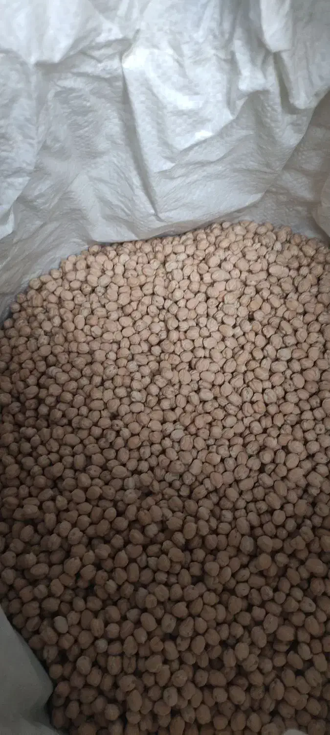 نخود سفید|گل و گیاه طبیعی|زیویه, |دیوار