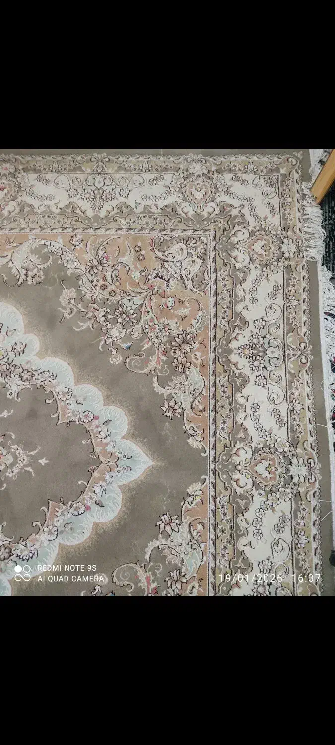 فرش ۶ متری|فرش|کرمانشاه, |دیوار