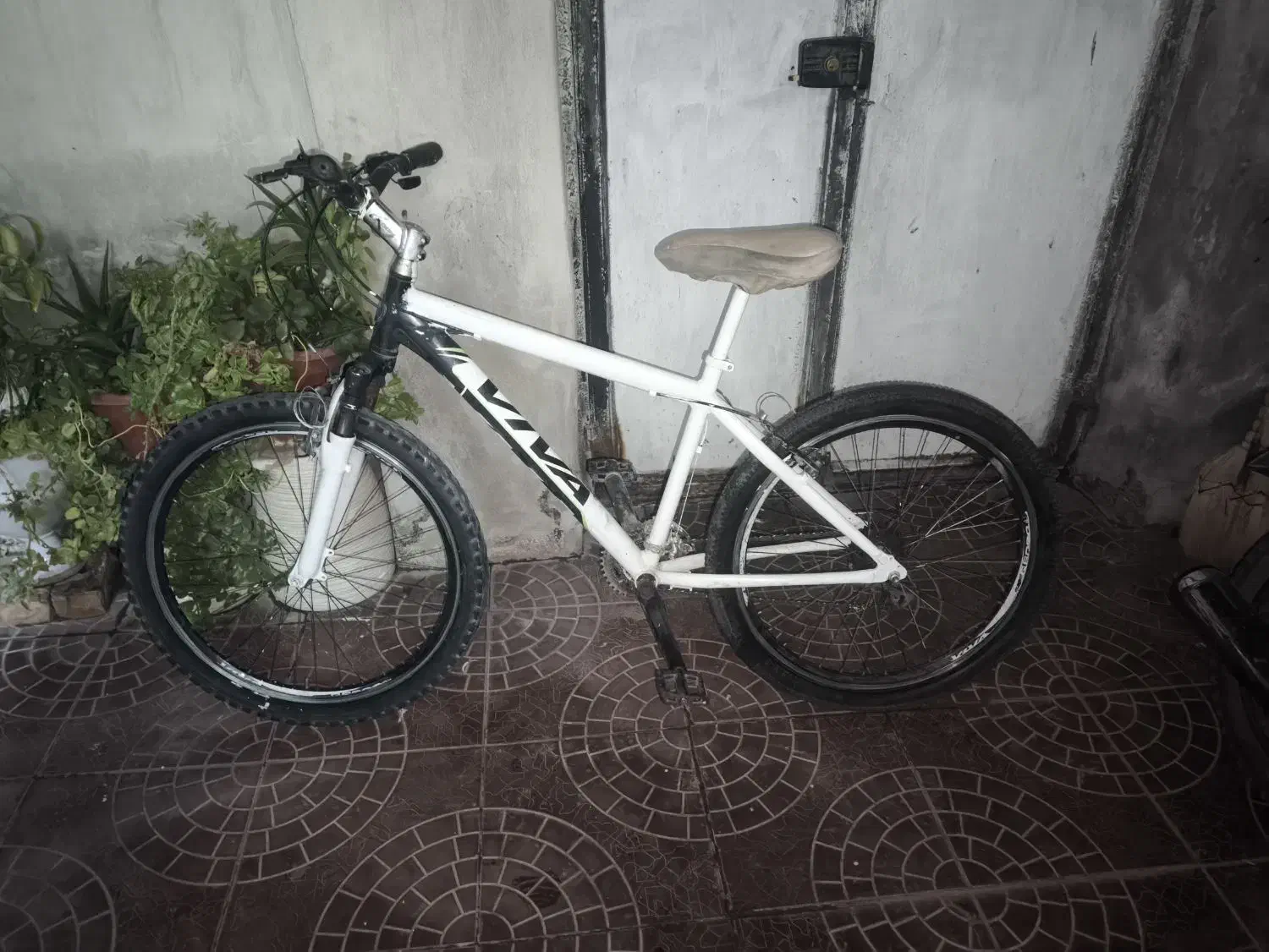 دوچرخه ویوا 26 تنه آلمینیوم|دوچرخه، اسکیت، اسکوتر|تربت جام, والفجر|دیوار