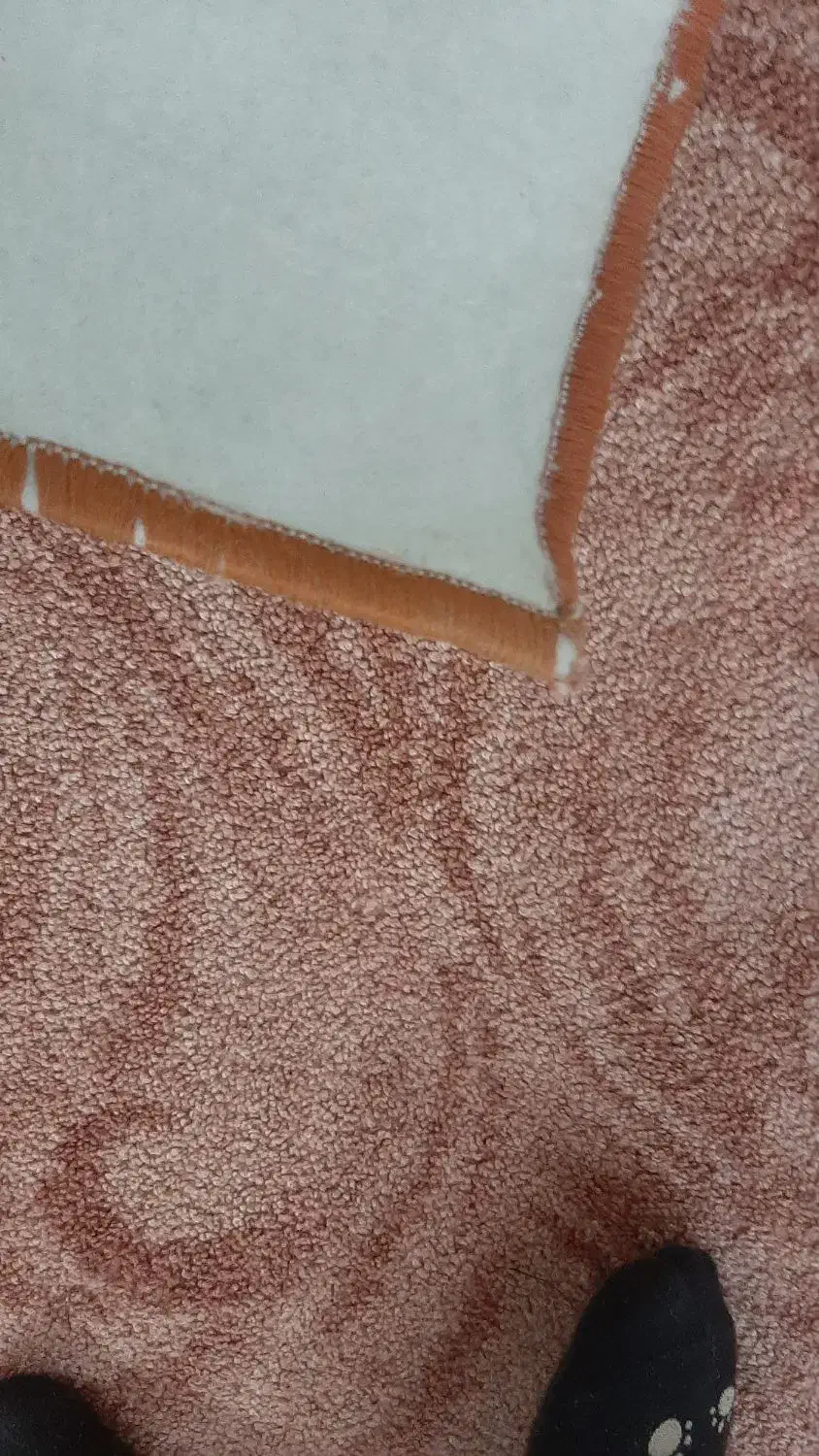 پالازموکت|موکت|اسلامشهر, شهرک الهیه|دیوار