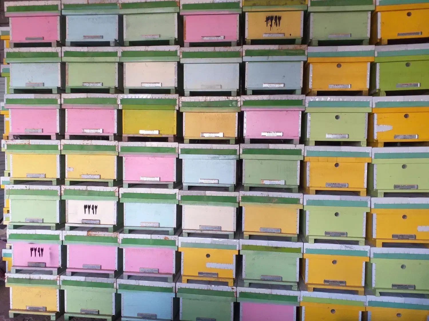 فروش کندو و طبق درجه یک|لوازم جانبی حیوانات|خوی, |دیوار