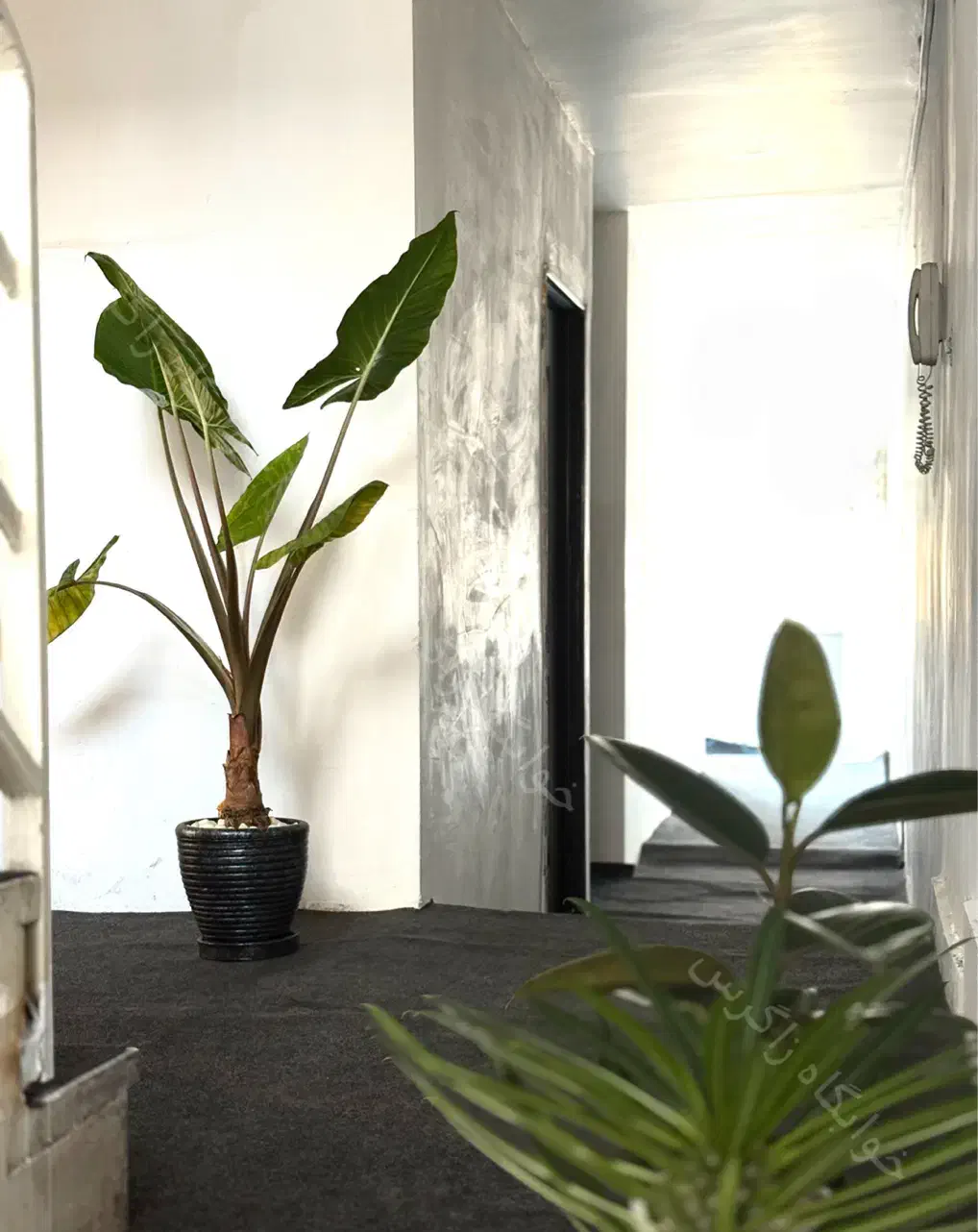 خوابگاه پانسیون پسرانه زاگرس (جنب متروی ارم سبز)|اجارهٔ کوتاهمدت آپارتمان و سوئیت|تهران, شهرک پرواز|دیوار