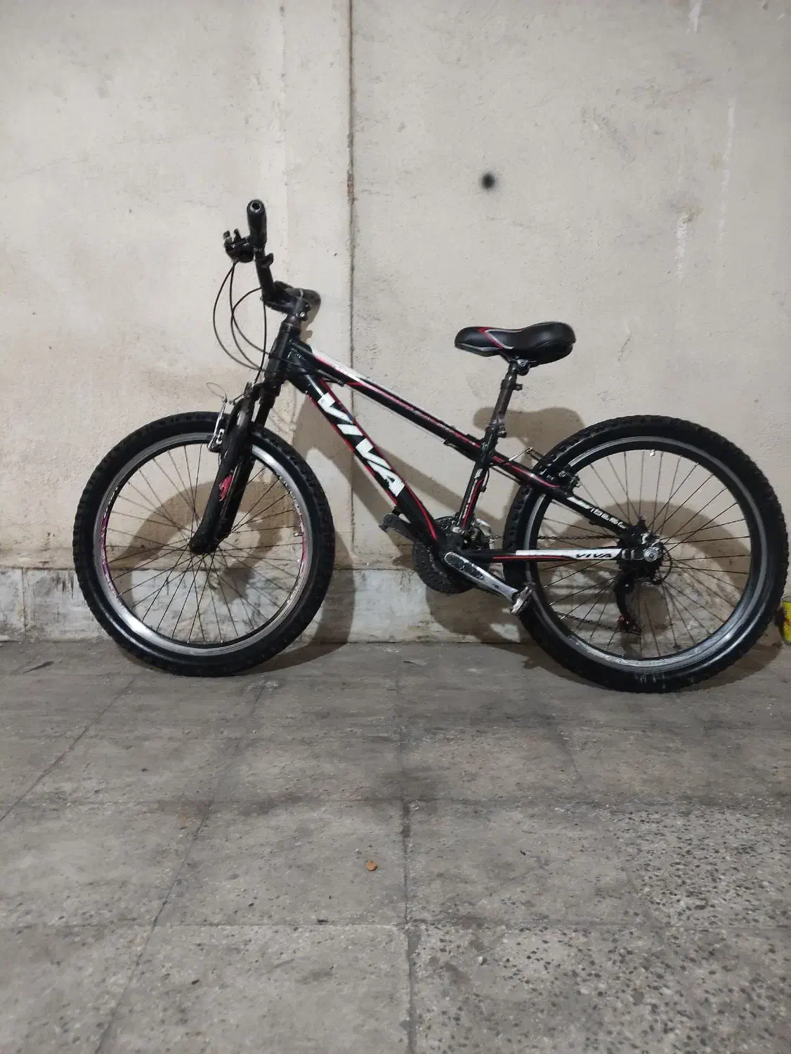 دوچرخه 24 ویوا اصلی|دوچرخه، اسکیت، اسکوتر|ری, دولت‌آباد|دیوار