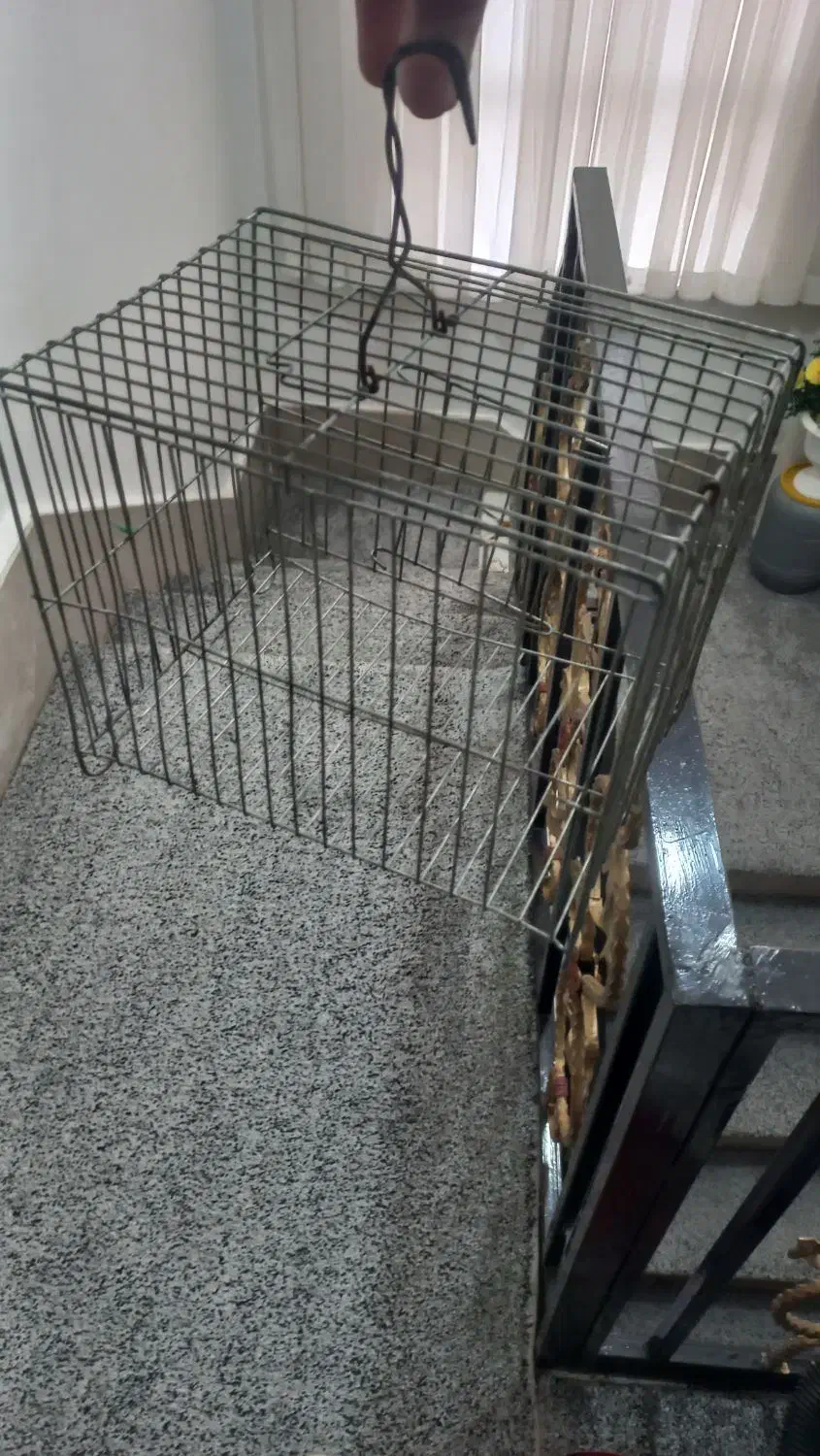 قفس|لوازم جانبی حیوانات|اسلام‌‌آباد غرب, |دیوار