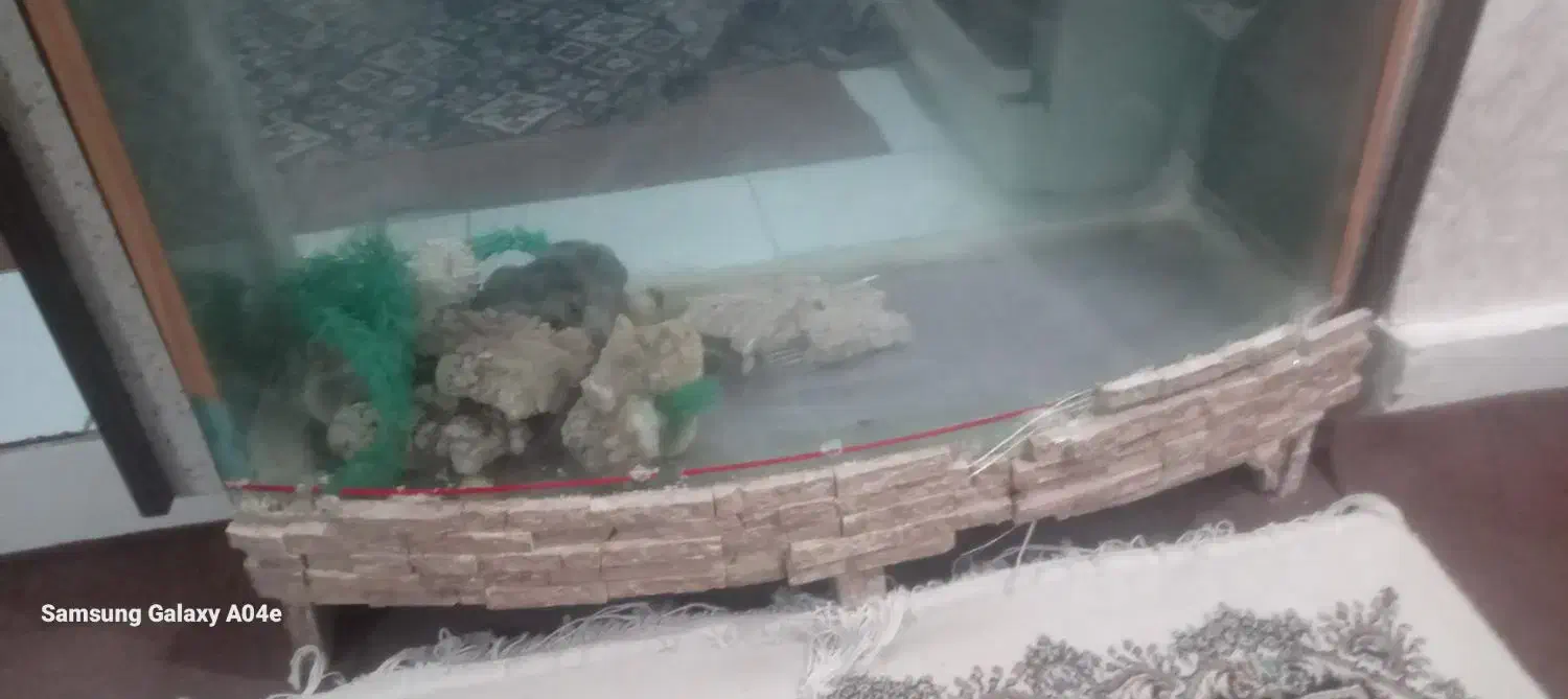 آکواریوم معاوضه با قناری|ماهی|زنجان, |دیوار