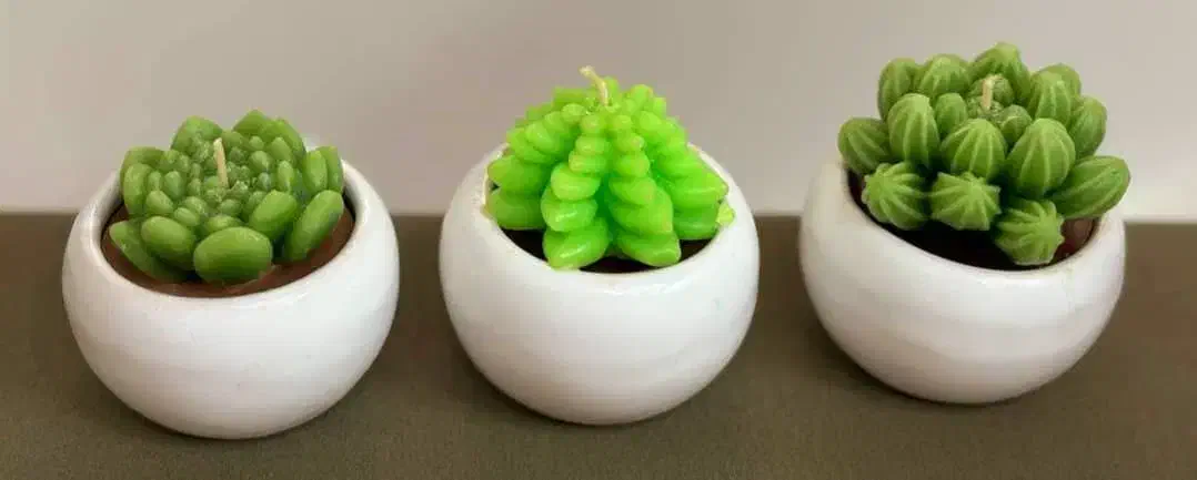 شمع کاکتوسی|صنایع دستی و سایر لوازم تزئینی|تهران, دولاب|دیوار