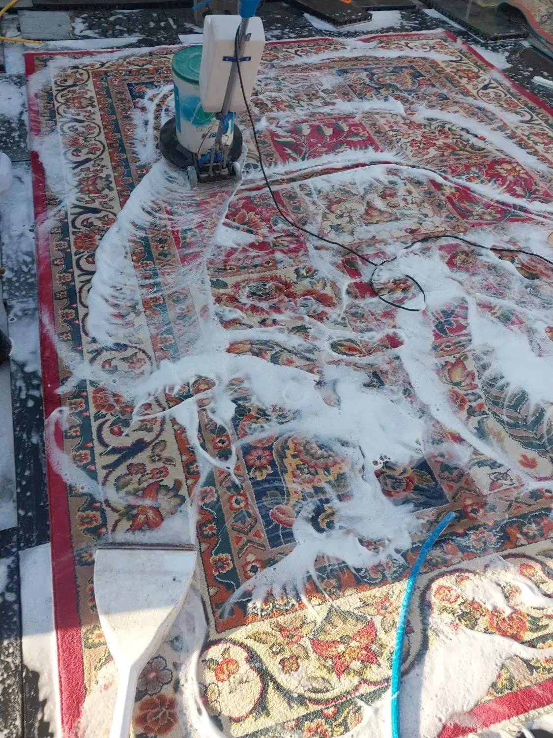 قالیشویی وپتوشویی|خدمات نظافت|کیار, |دیوار