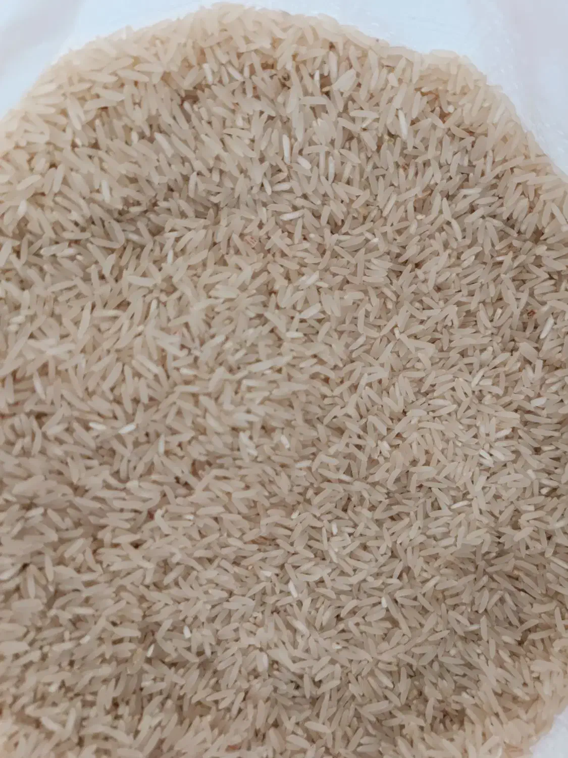 برنج لاشه پشت برنجی  لاشه  نیم دانه|خوردنی و آشامیدنی|گرگان, |دیوار