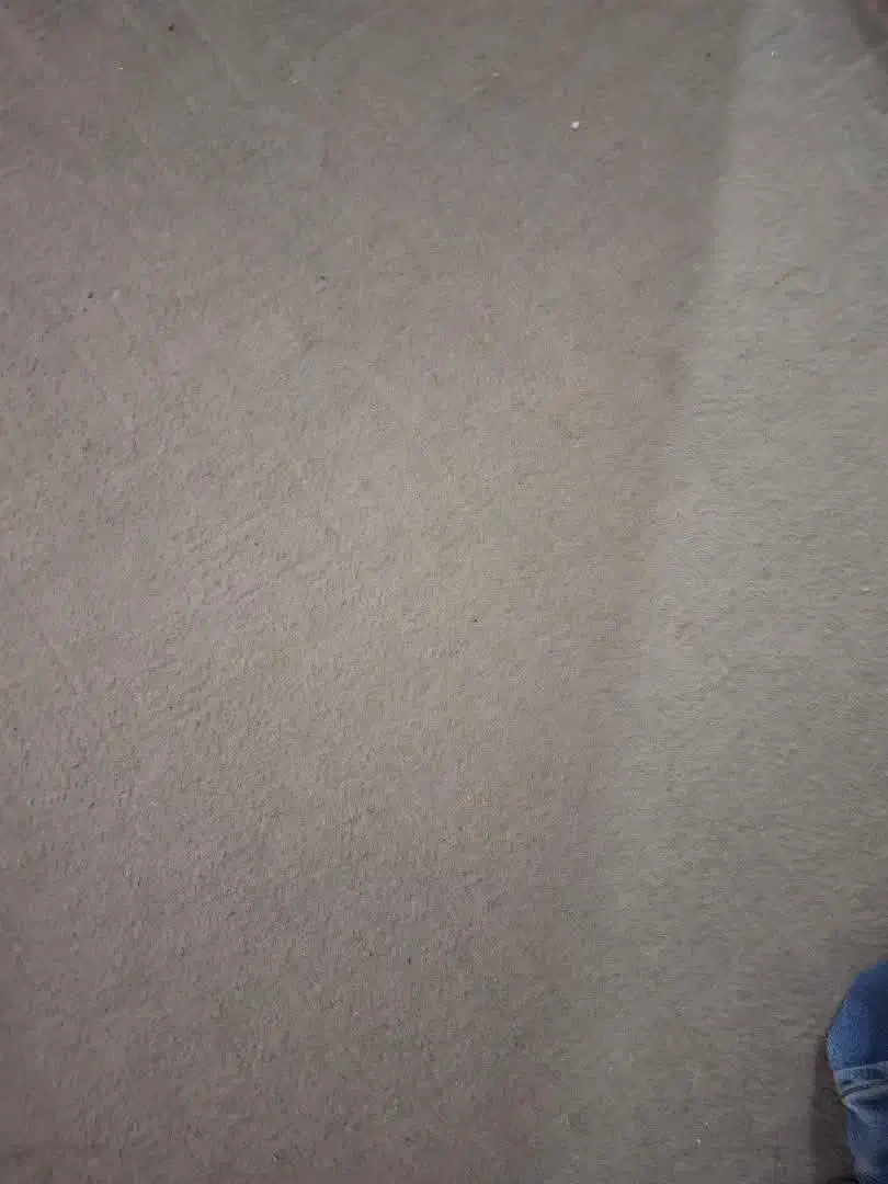 موکت تمیز|موکت|تربت جام, مطهری|دیوار