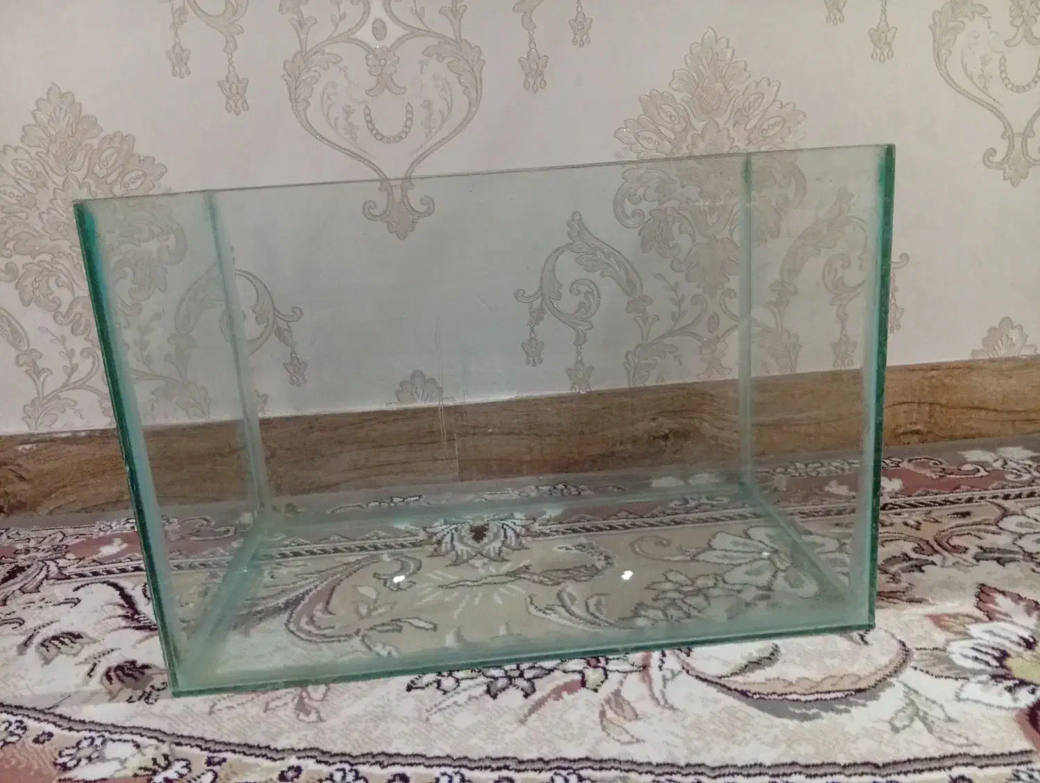 آکواریوم|ماهی|تهران, کیانشهر|دیوار