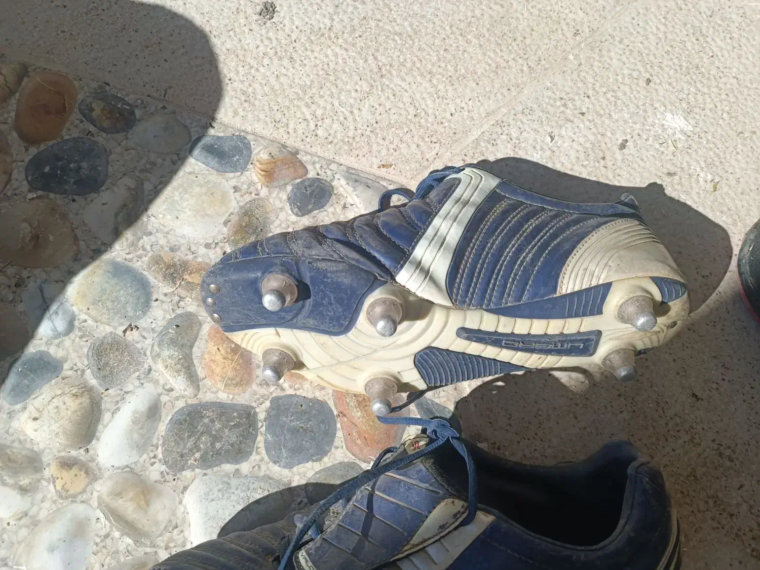 کفش|تجهیزات ورزشی|چرداول, |دیوار