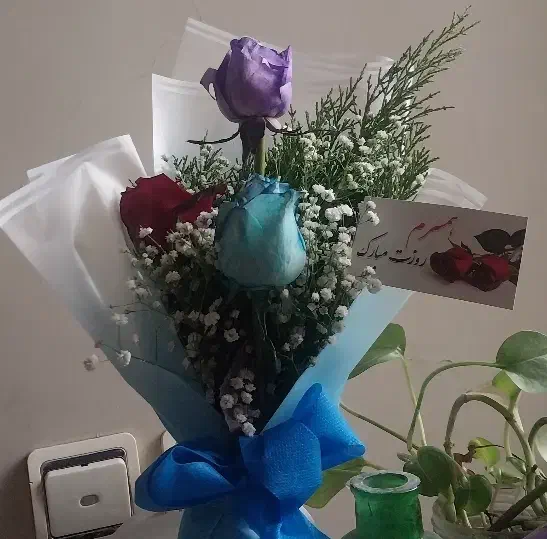 دسته گل طبیعی|گل و گیاه طبیعی|تهران, مسعودیه|دیوار