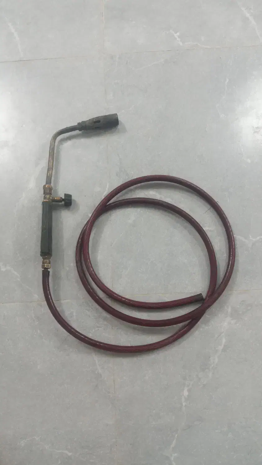 خرطومی|کیف، کفش، کمربند|مشهد, خواجه ربیع|دیوار