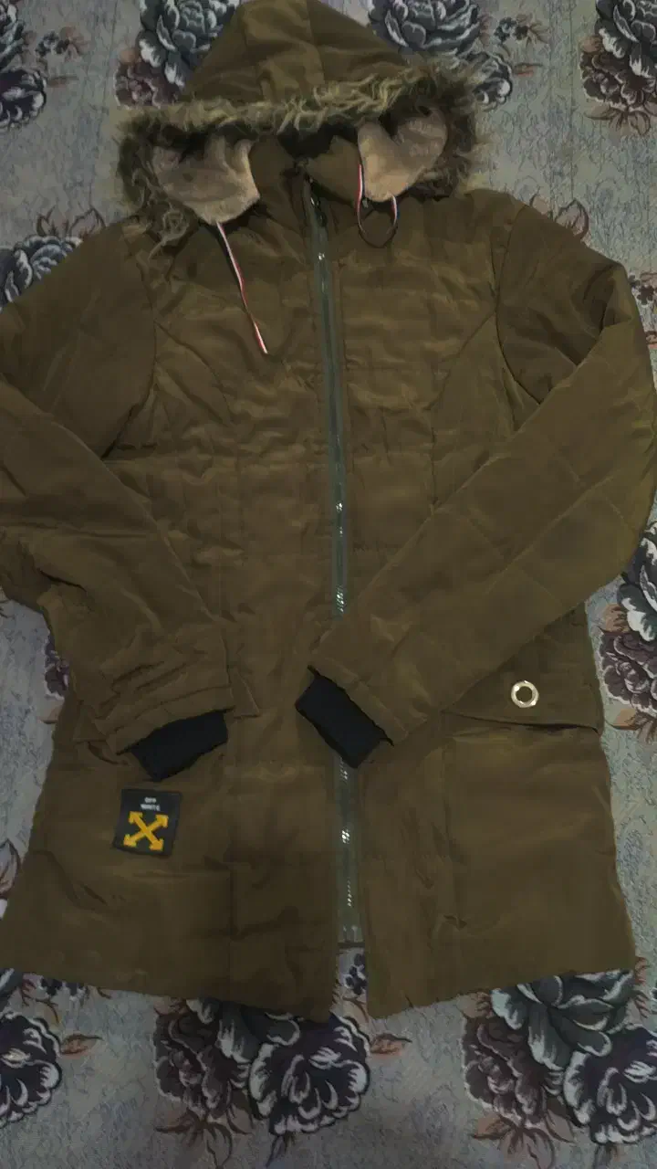 کاپشن رنگ یشمی کاملا نو|لباس|تربتحیدریه, پائین ولایت|دیوار