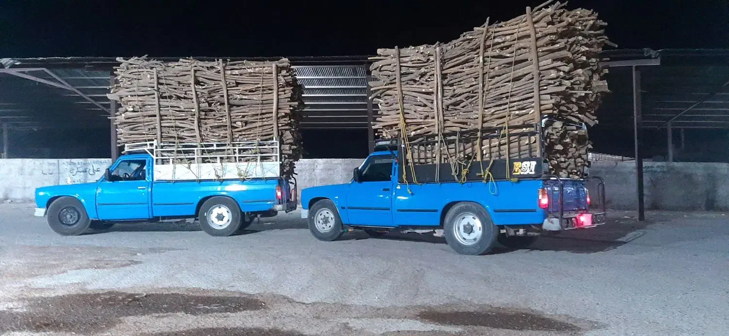 بریدن درخت و خرید چوب|خدمات باغبانی و درختکاری|کازرون, |دیوار