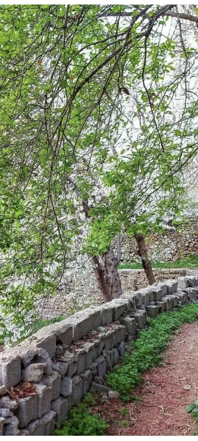 باغ کن ۳۵۰۶متر کنار رودخانه|فروش زمین و ملک کلنگی|کن, |دیوار