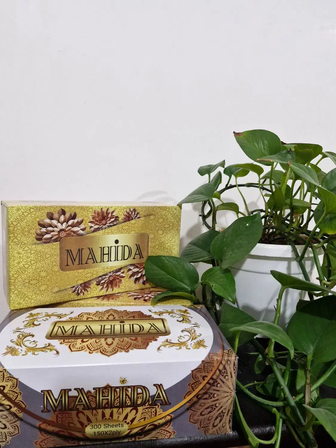 دستمال کاغذی|مواد شوینده و دستمال کاغذی|همدان, |دیوار