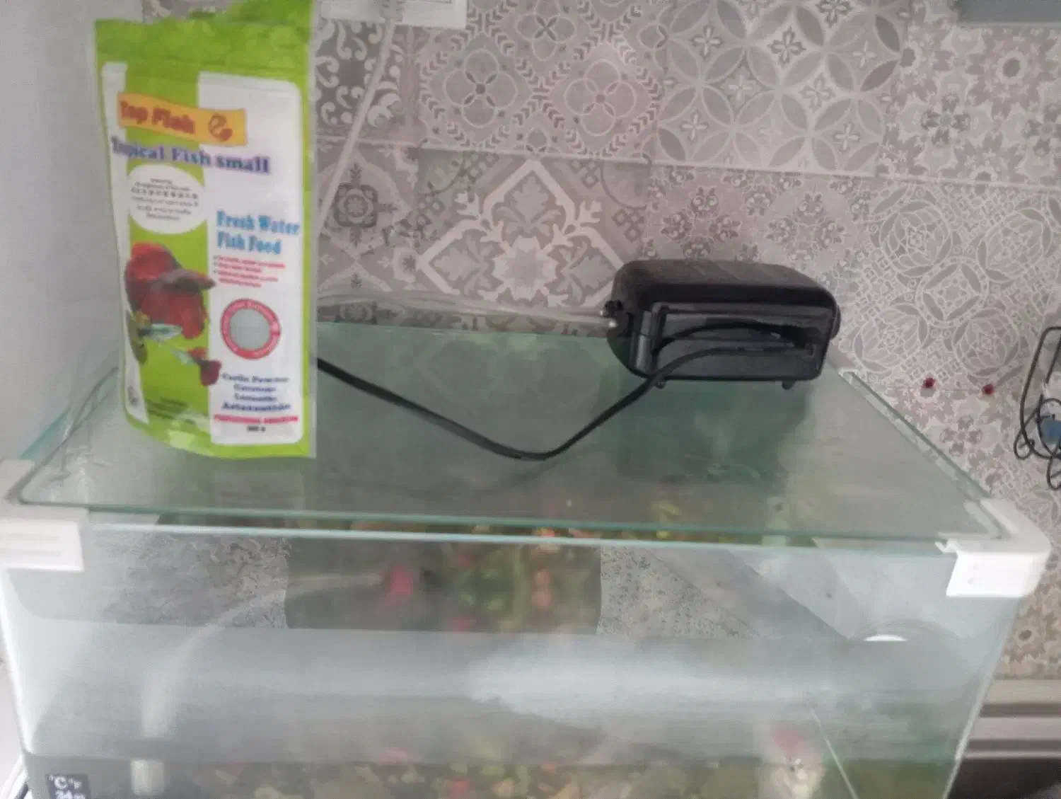 اکواریوم|ماهی|خرمآباد, |دیوار