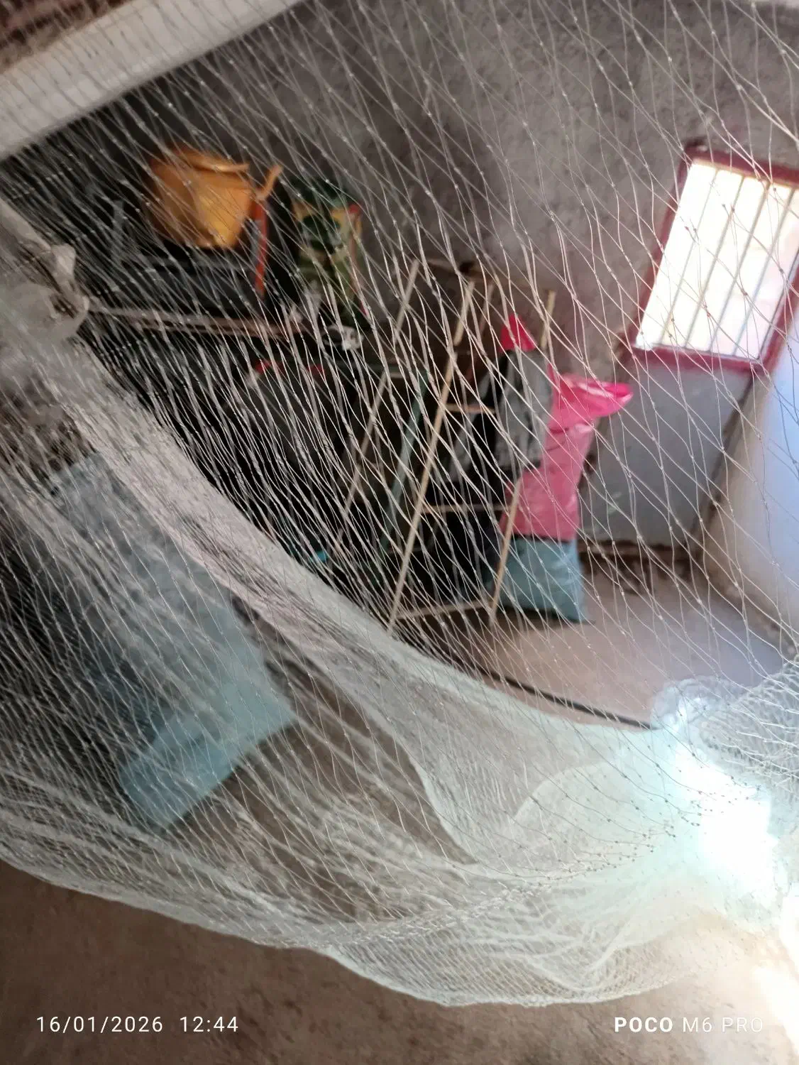 تور ماهیگیری 30 متری|ماهیگیری|دورود, |دیوار